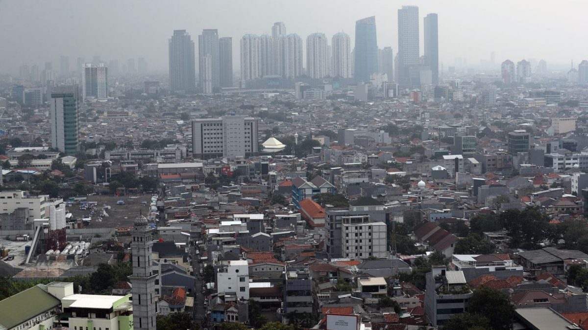 Welcome to the jungle: Indonesia picks site for new capital city